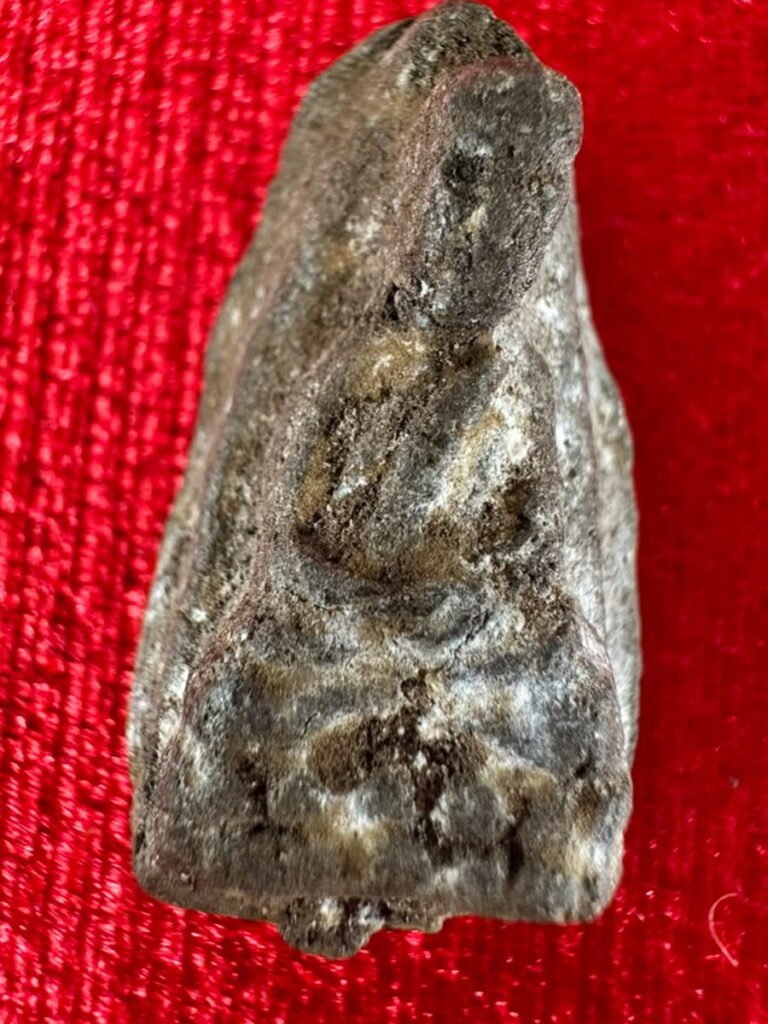 AML68071917004 正面