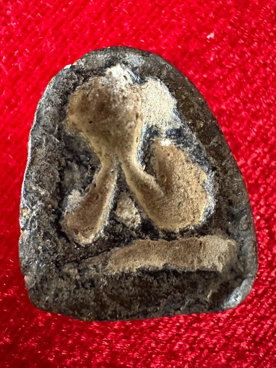 AML69012621092 背面