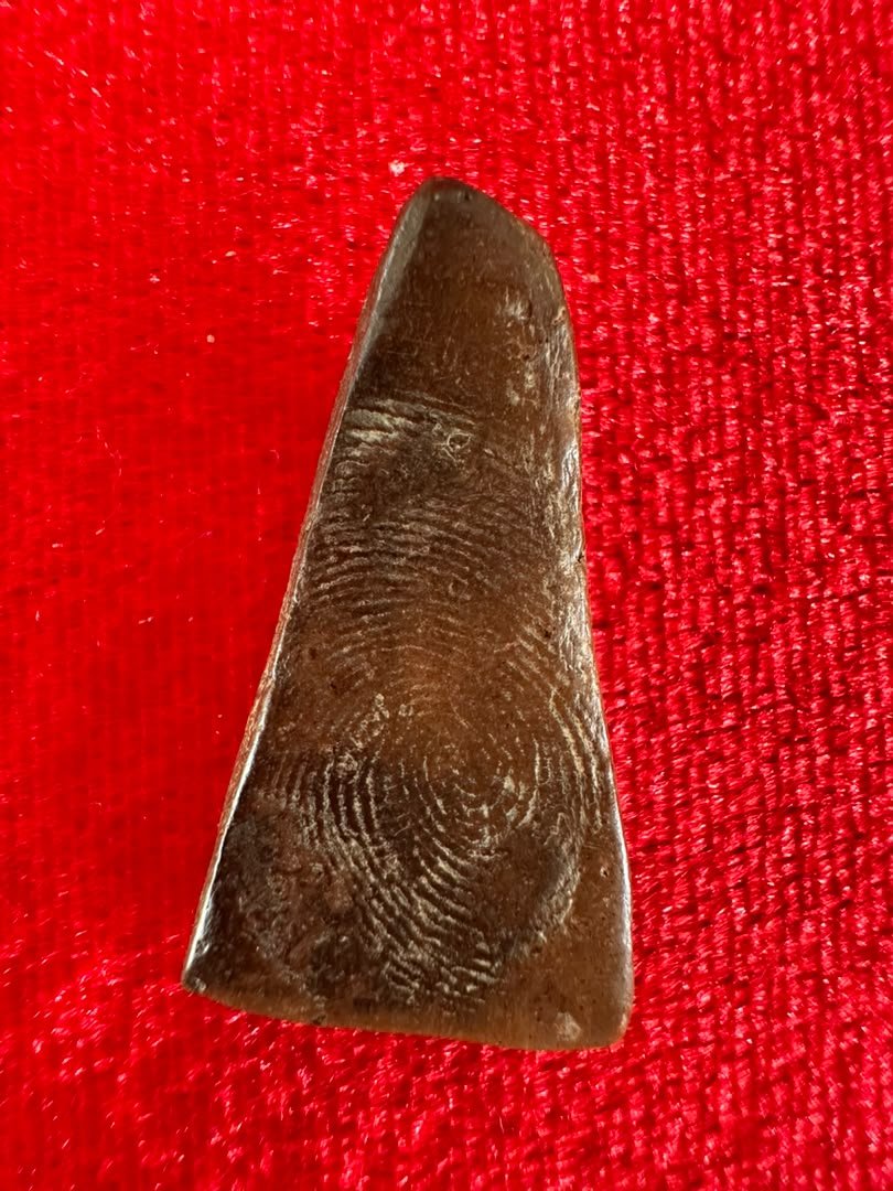 AML69021521451 背面