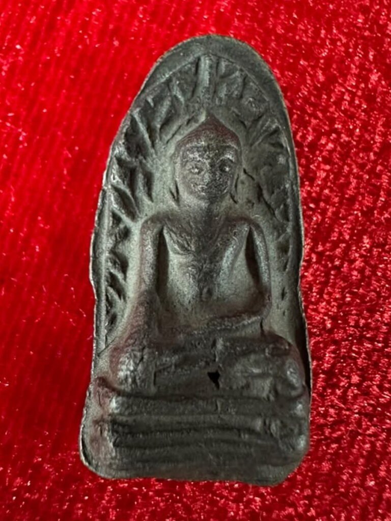 AML69050722604 正面