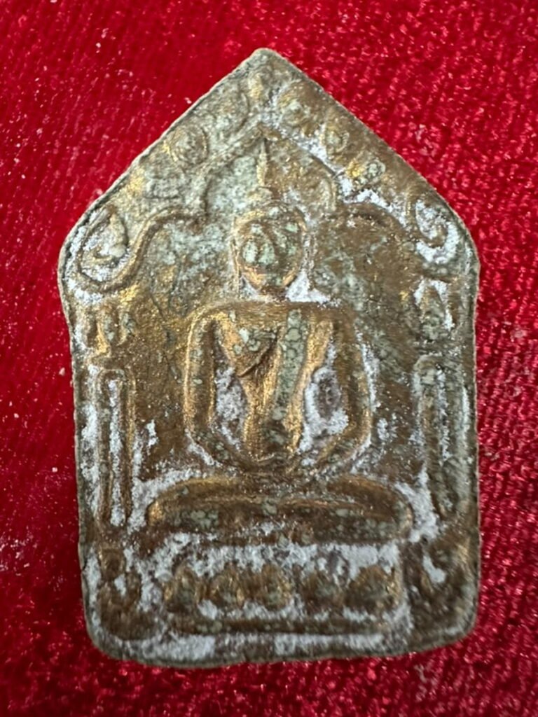 AML69061523146 正面