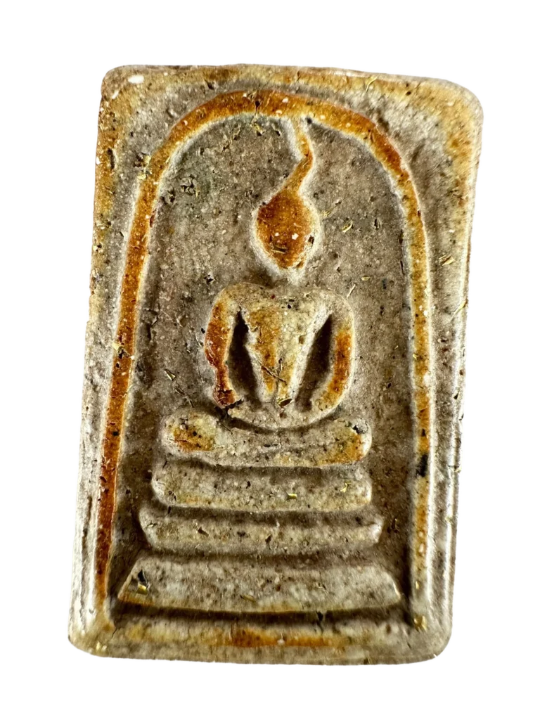 AML68112519784 正面