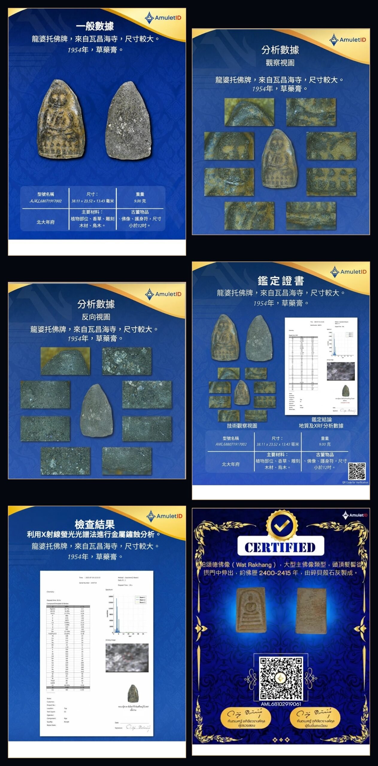 鑑定報告範例(六份文件)